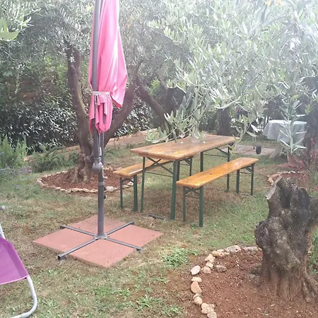 Donna Apartament