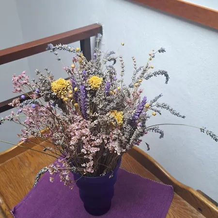 Donna Apartament