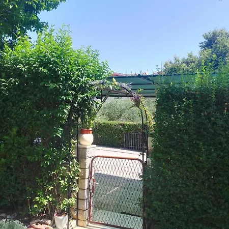 Apartament Donna *