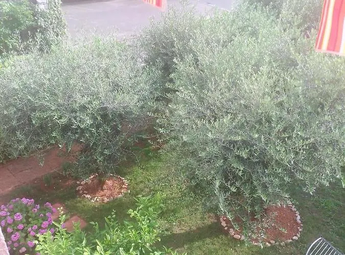 Donna * Πόρετς