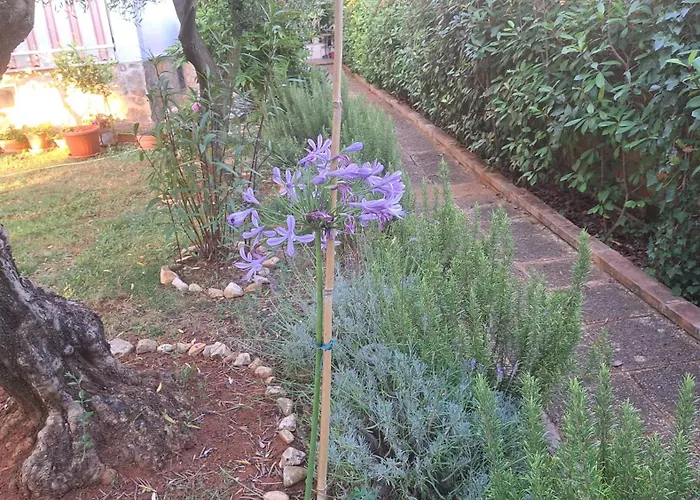 Donna Διαμέρισμα Πόρετς