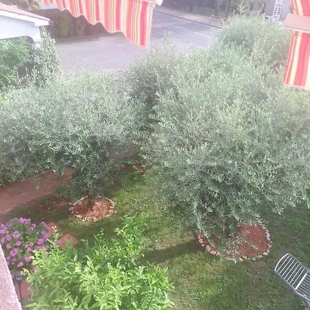 Donna * Porec