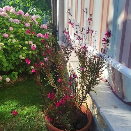 Donna Apartmán