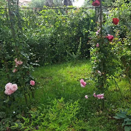 Appartement Donna *
