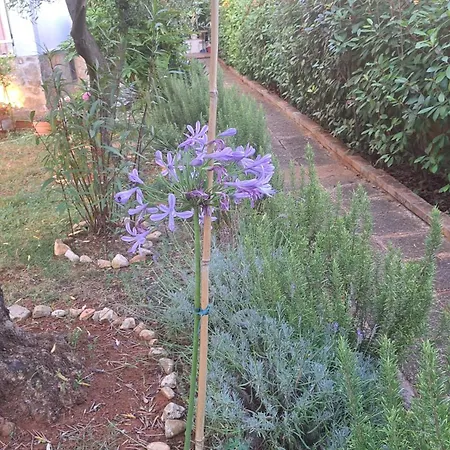 Donna Apartmán Poreč