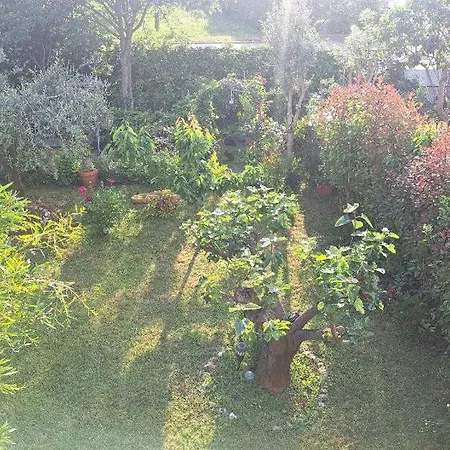 Appartement Donna *