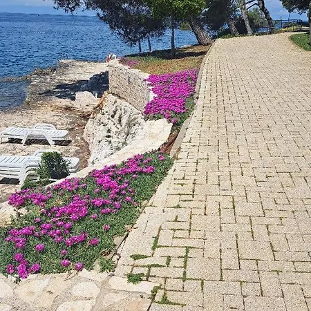 Donna Apartment Porec
