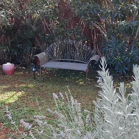 Donna Apartman Porec